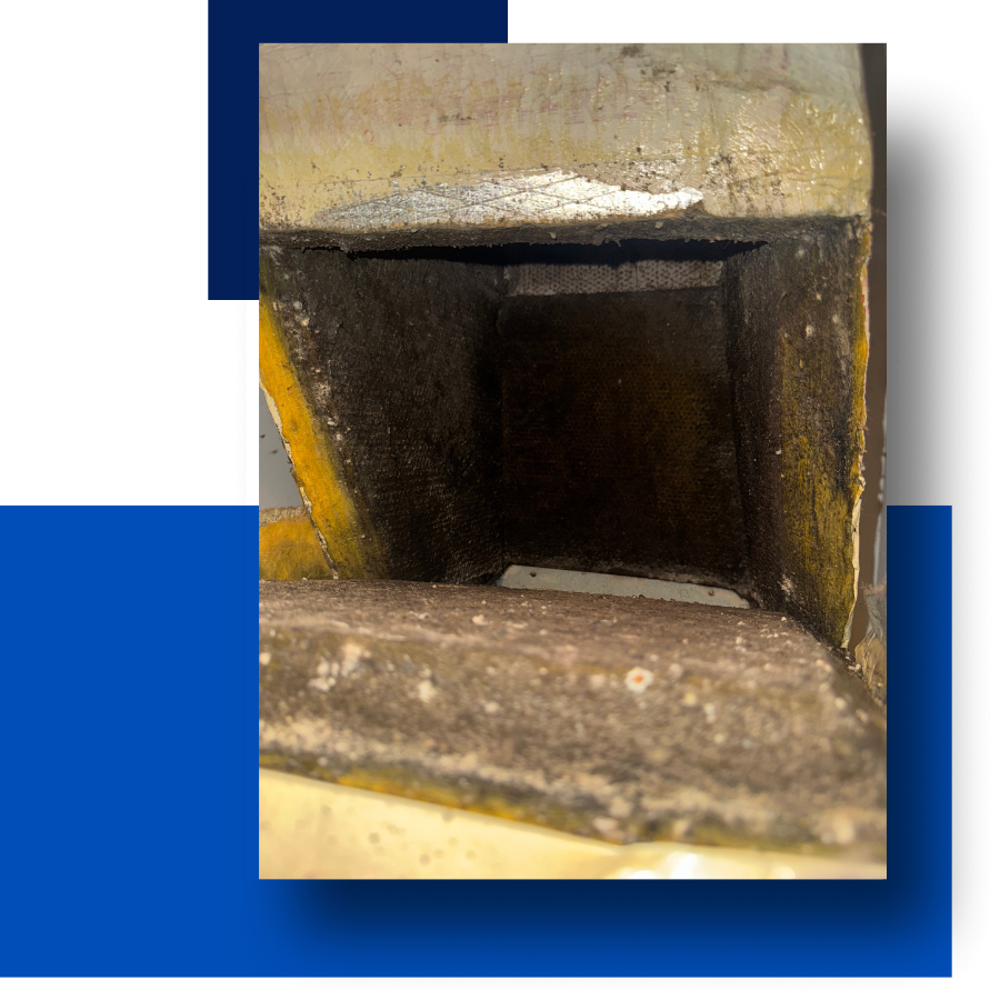 Commercial Air Purifier Installation Near YOu